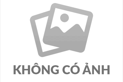 Quyết định về việc công bố công khai tình hình mua sắm, quản lý sử dụng trụ sở làm việc tài sản công, tài sản cố định năm 2024 của trường Tiểu học Hải Đường